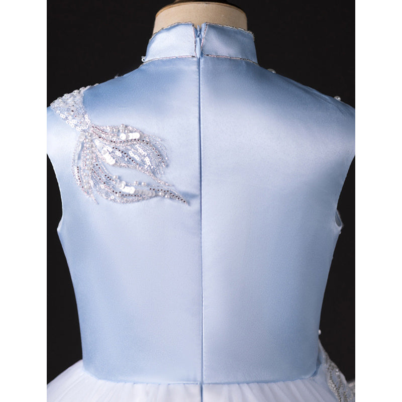 Light Blue Sleeveless Girls Princess Dress with Embroidery