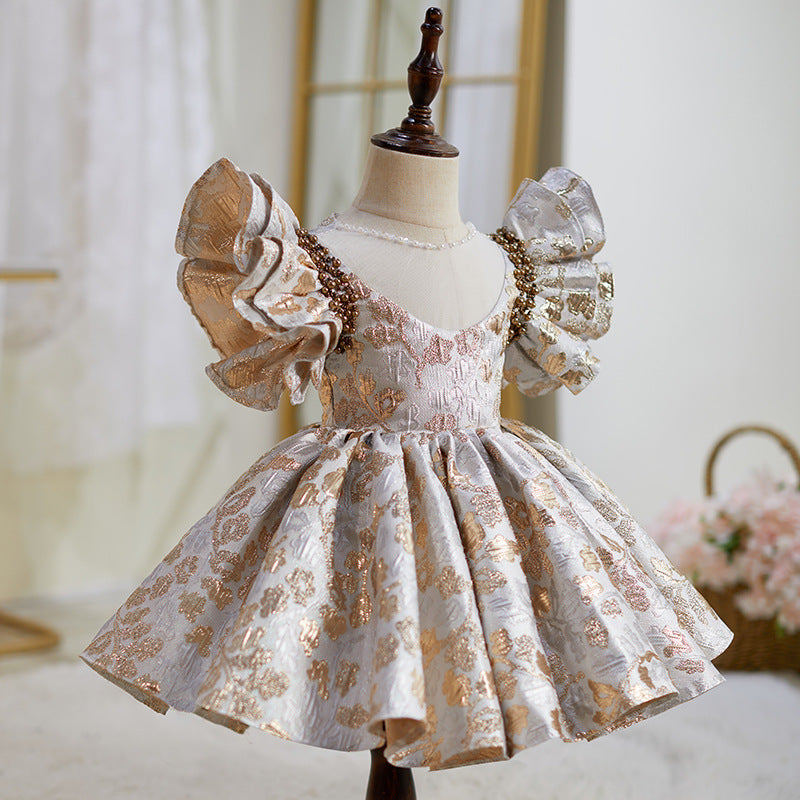 Girls Birthday Party Dresses Girls Autumn Puffy Princess Dress