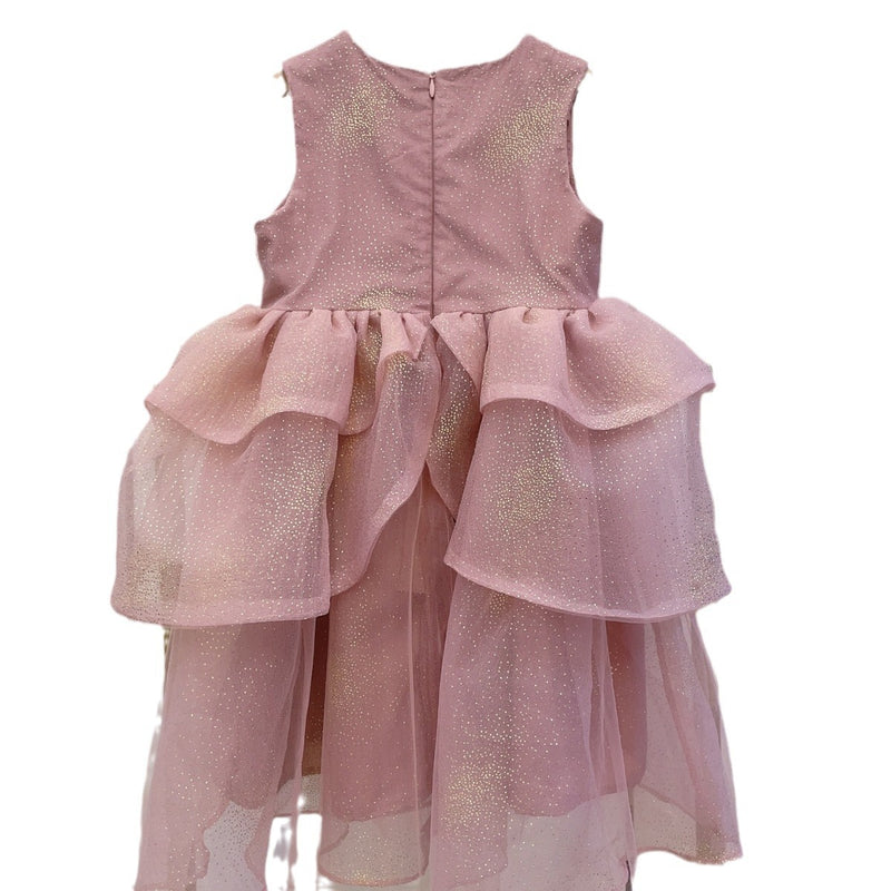 Girls Pink Mesh Princess Dress Sleeveless Puffy Dress Sequin Birthday  Dress