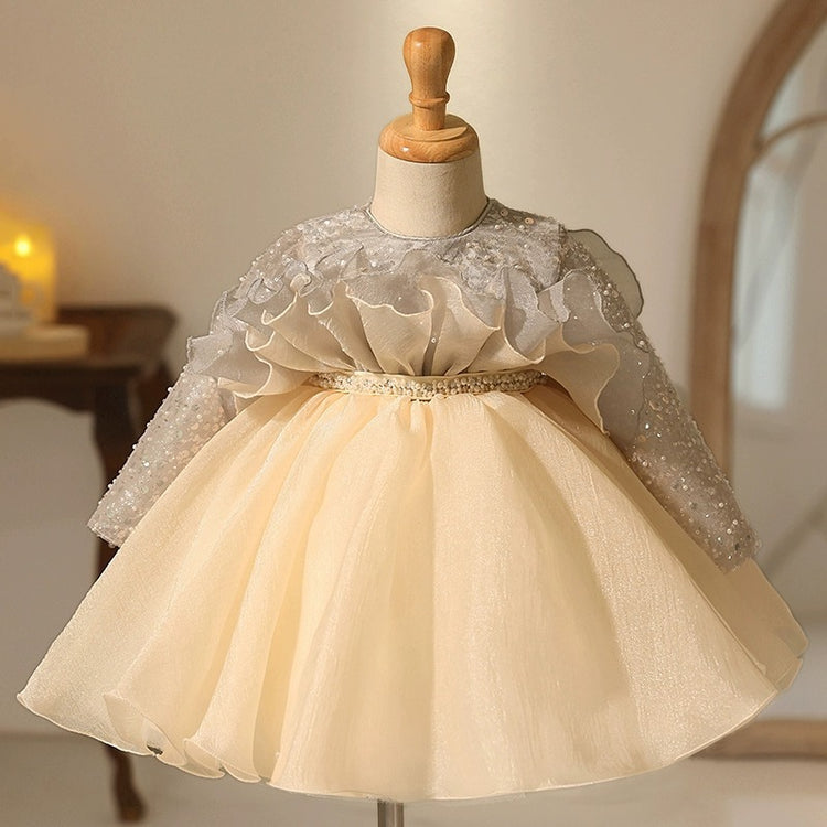 Children's Ball Princess Dress Girls Birthday Puff Dress