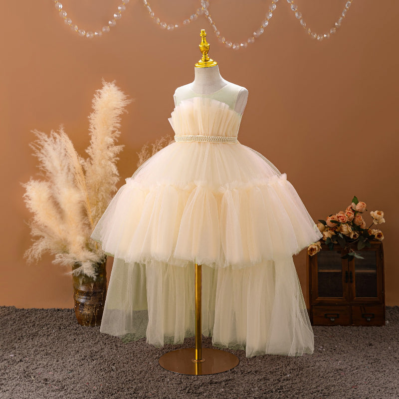 Sleeveless Swallowtail Princess Dress Mesh Puffy Dress