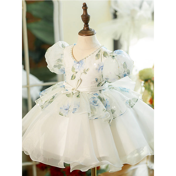 Luxury Baby Girl Floral Birthday Party Princess Dress