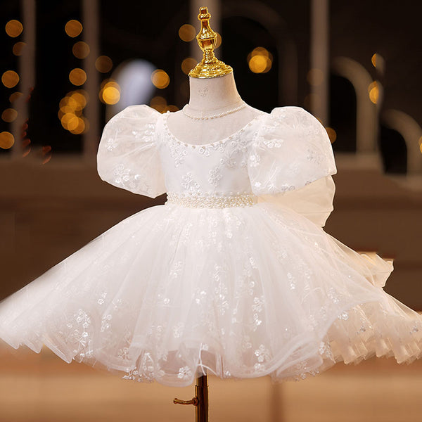 Lace Mesh Puff Sleeve Princess Dress