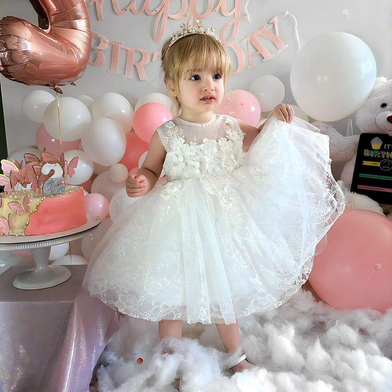 Baby Girl Dress Special Occasion First Birthday Dress Baby 